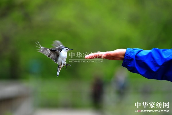 導(dǎo)購(gòu)如何獲得顧客的信任感?